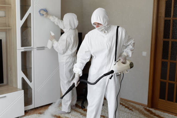 Professional Mold Remediation in Toledo, IL
