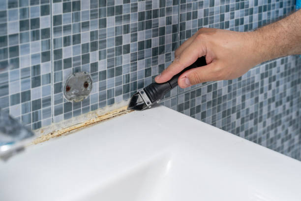 Best Black Mold Remediation in Toledo, IL
